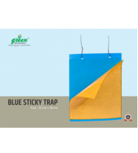 Blue Sticky Trap - 22 cm x 28 cm